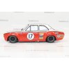 Ford Escort MK I Stewart #17 Analog / Carrera Digital 132
